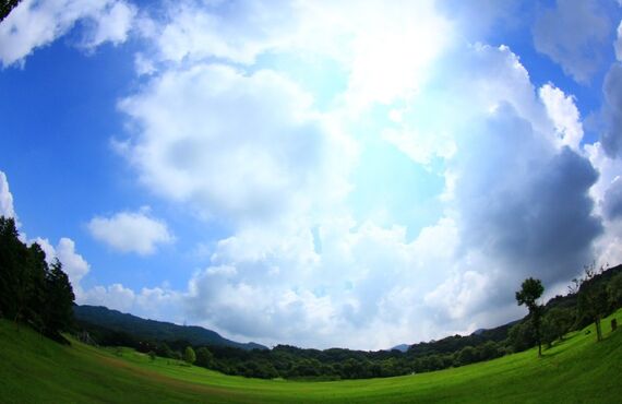 くせ毛の原因知ってますか？